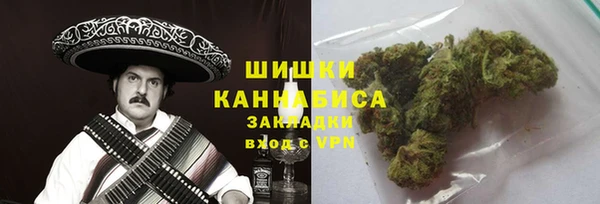 хмурый Гусев