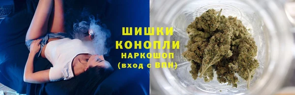 хмурый Гусев