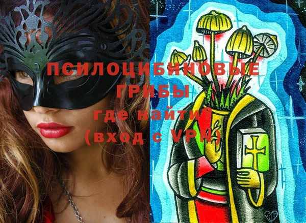 хмурый Гусев