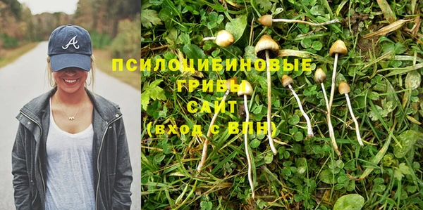 jwh Гусь-Хрустальный