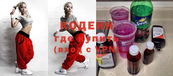 хмурый Гусев