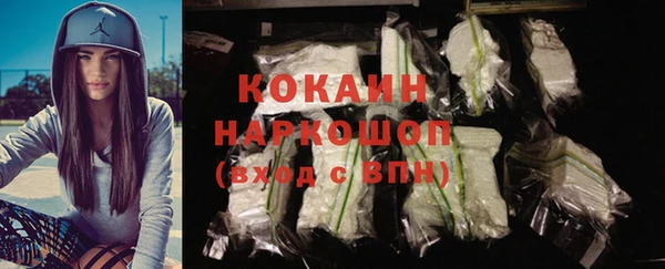 jwh Гусь-Хрустальный